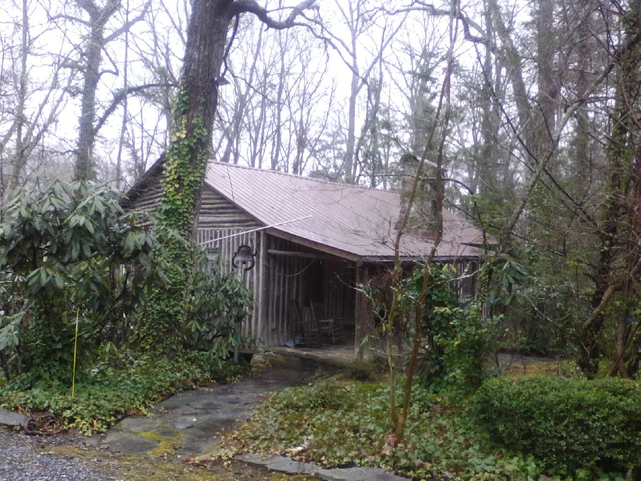 Weathered metal roof on an old board sided cabin in the woods in Sharps